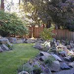 A cool river of lawn sets off the boulders in this rockery. A smooth transition of terraces makes a formerly steep slope more useable.