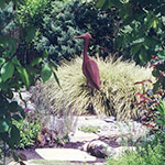 A rusted steel egret stands alone in a framed view with a variegated sedge behind him suggesting the pond hidden beyond. Installation by KM Development Professional Landscape.