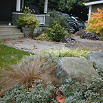 Boulders and textural plantings create year round interest in this backyard. Installation by Creative Touch Landscaping.
