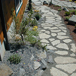 Reusing broken concrete from the old driveway keeps materials out of the waste stream and provides a permeable path alongside the wall of a new shop and alpine rockery top-dressed with gravel.